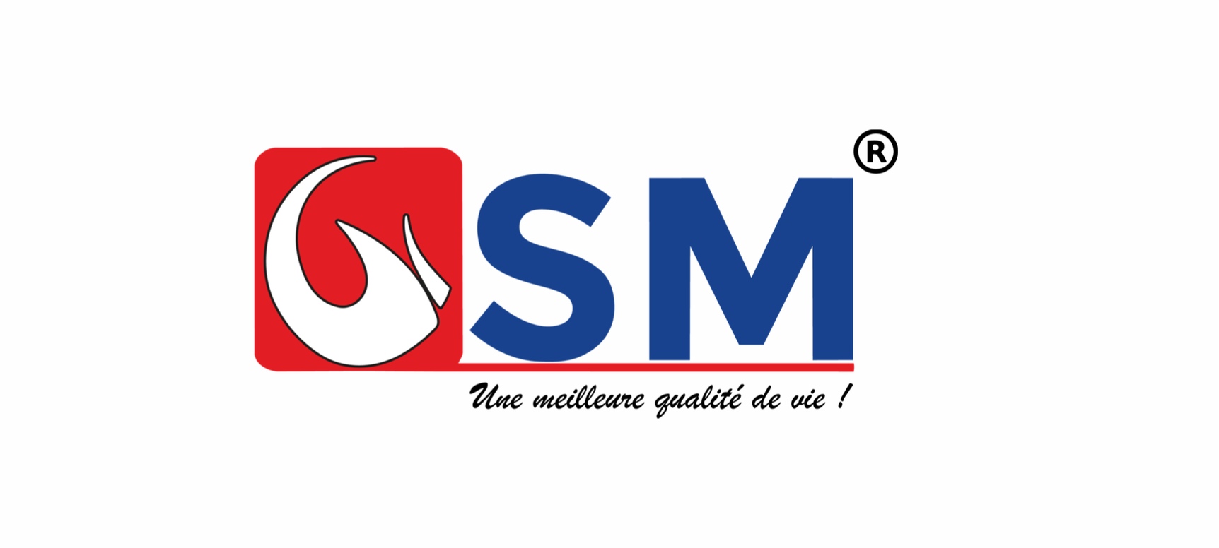 Logo officiel GSM — Une meilleure qualité de vie